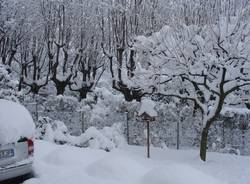 Neve lettori a Viggiù e Velate (inserita in galleria)