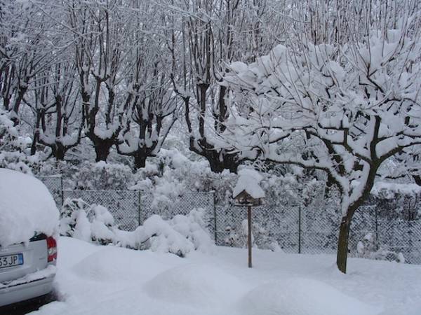 Neve lettori a Viggiù e Velate (inserita in galleria)