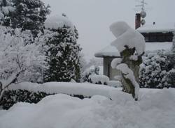 Neve lettori a Viggiù e Velate (inserita in galleria)