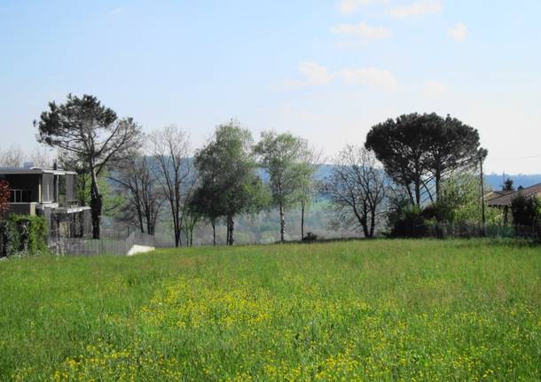 Verde, giallo e celeste