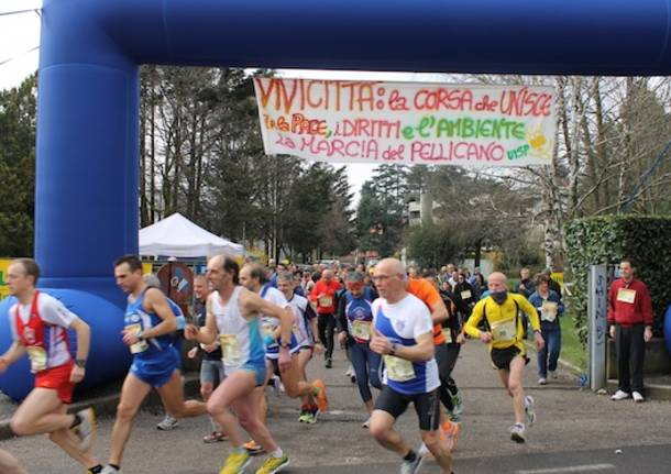 Vivicitt La Corsa Pi Grande Del Mondo Anche A Varese