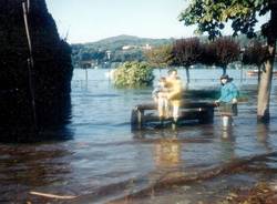 Il giallo delle vongole giganti Ad Angera il mostro del lago - La  Provincia Di Varese