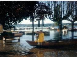 Il giallo delle vongole giganti Ad Angera il mostro del lago - La  Provincia Di Varese