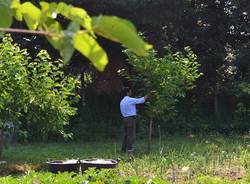 cascina burattana agricoltura