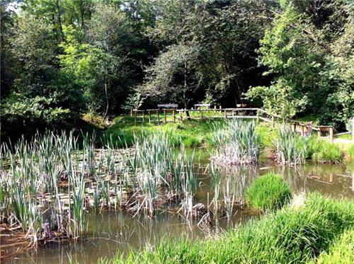 Il parco Pineta a Vedano Olona (inserita in galleria)