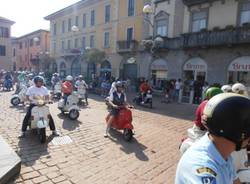 Invasione di 201Cvespe201D a Busto Arizio (inserita in galleria)