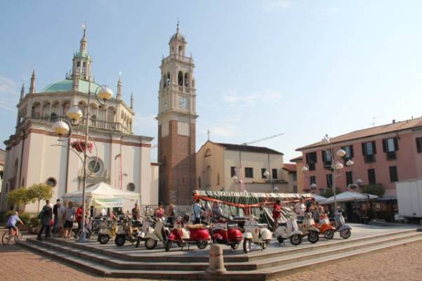 Invasione di 201Cvespe201D a Busto Arizio (inserita in galleria)