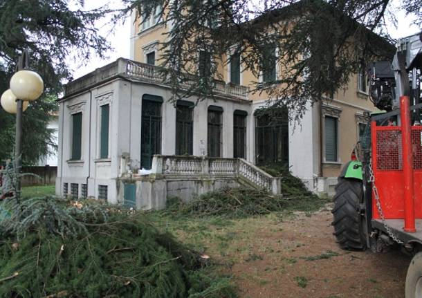 Villa Braghenti, cadono due piante causando gravi danni (inserita in galleria)