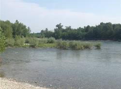 Spiagge di Fiume (inserita in galleria)