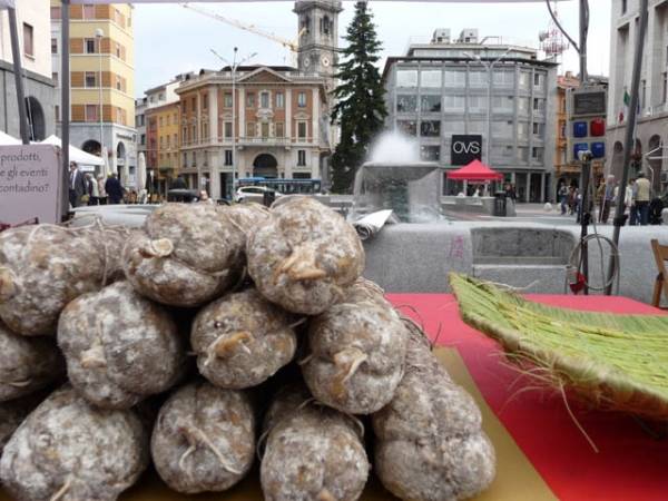 Successo per AgriVarese (inserita in galleria)