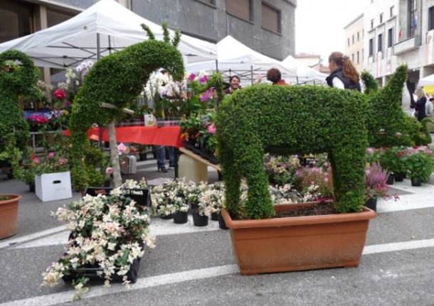 Successo per AgriVarese (inserita in galleria)