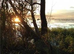 Il lago di Varese visto dal "Buguggino" (inserita in galleria)