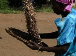 Marco Macchi, la mia Africa (inserita in galleria)