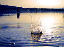 Un tuffo nel lago