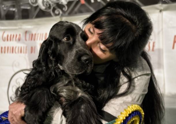 A Malpensa, la passerella canina (inserita in galleria)