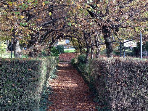 L'autunno nel parco di Villa Augusta (inserita in galleria)