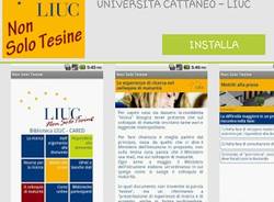 non solo tesine liuc