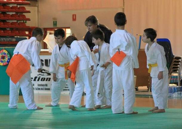 Ju-Jitsu game 4: sport e divertimento per tutti a Castellanza