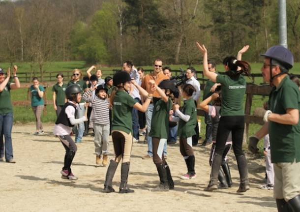 Festa all'Arca del Seprio (inserita in galleria)