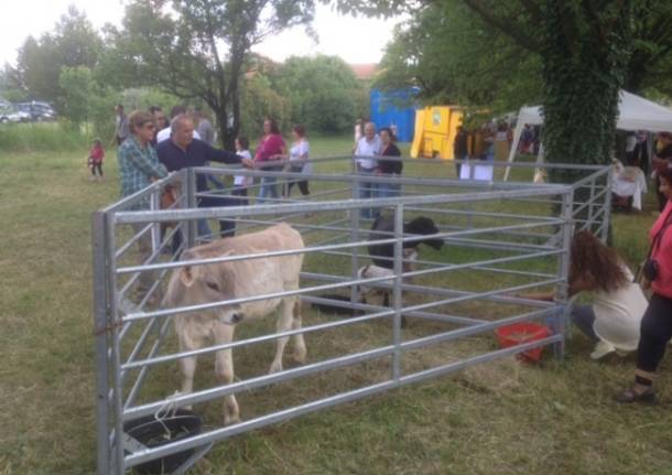 Agrifest 2014, un successo tra animali, torte e divertimento (inserita in galleria)