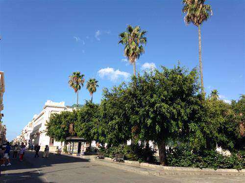 Reggio Calabria: i luoghi (inserita in galleria)