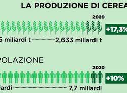 I paradossi dell'alimentazione (inserita in galleria)