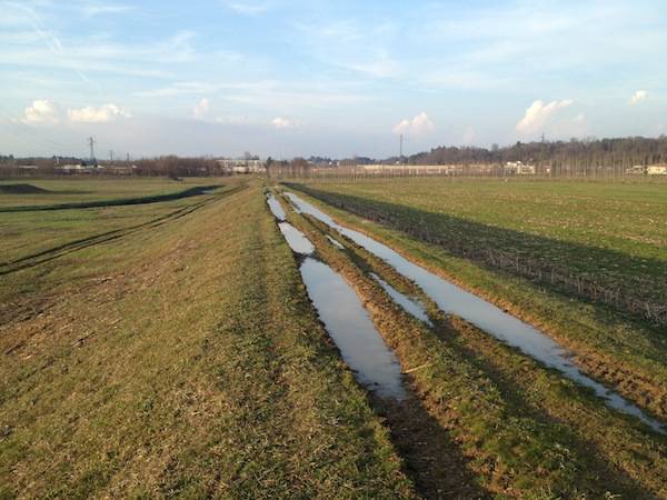 Il "parco" tra Gallarate, Cavaria e Cassano Magnago (inserita in galleria)