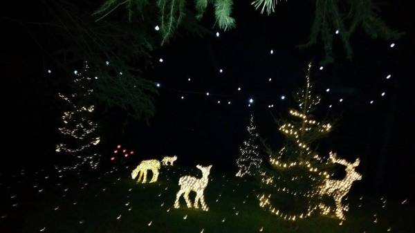 Luminarie a Leggiuno (inserita in galleria)