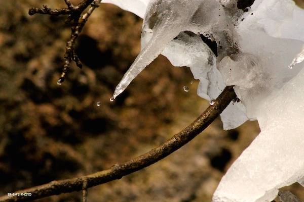 Cristalli di ghiaccio alle Grotte della Valganna  (inserita in galleria)