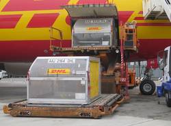 DHL a Malpensa (inserita in galleria)