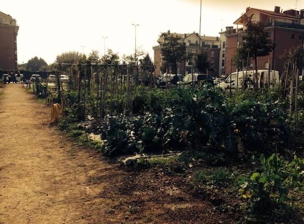 Orti, bici e libri: la rete dei quartieri a Gallarate (inserita in galleria)