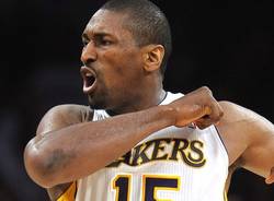 basket metta world peace