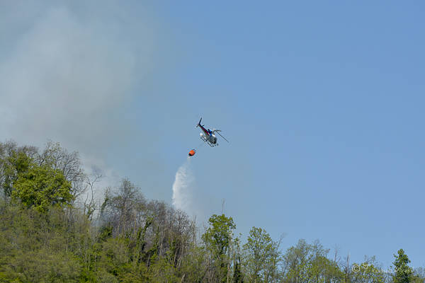 Incendio bosco Caravate Sangiano