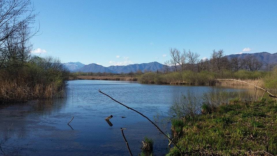 Oggi nel varesotto, le vostre foto pasquali