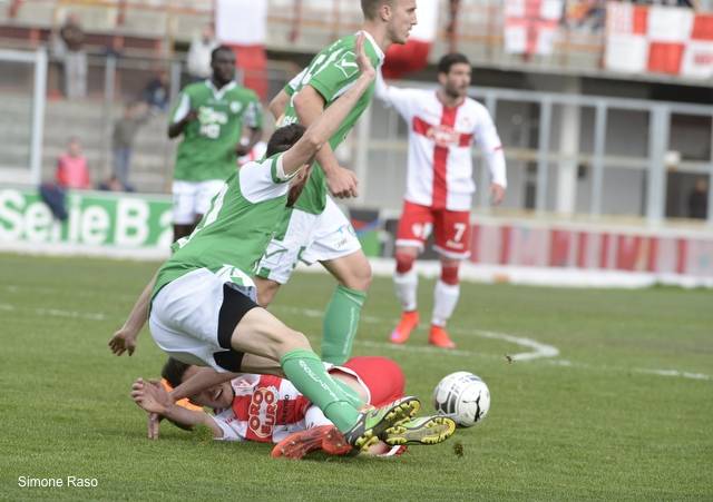 Varese - Avellino  1-1