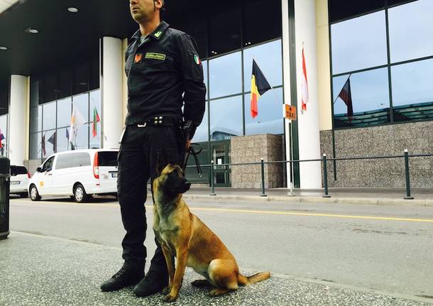 malpensa cane guardia finanza