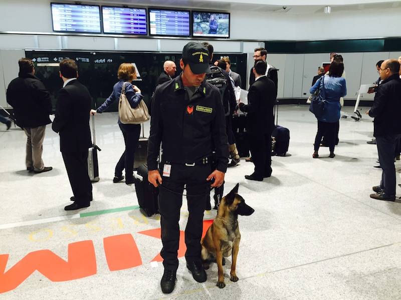 malpensa cane guardia finanza