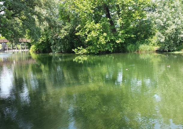 Ciclabile del lago messa punto per EXPO…