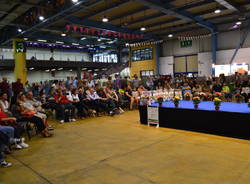 Gatti in mostra a MalpensaFiere