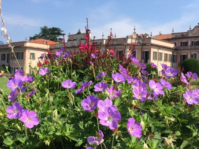 I Giardini Estensi fioriti