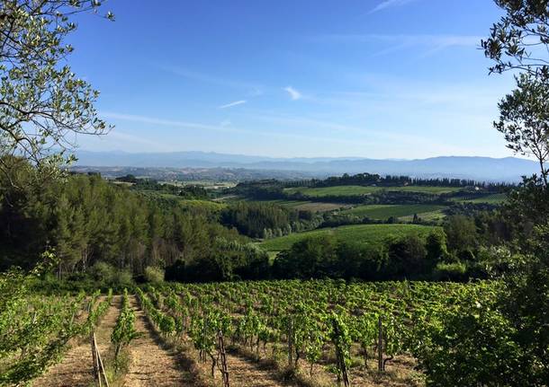 Via Francigena ottava tappa: da San Miniato a Gambassi terme