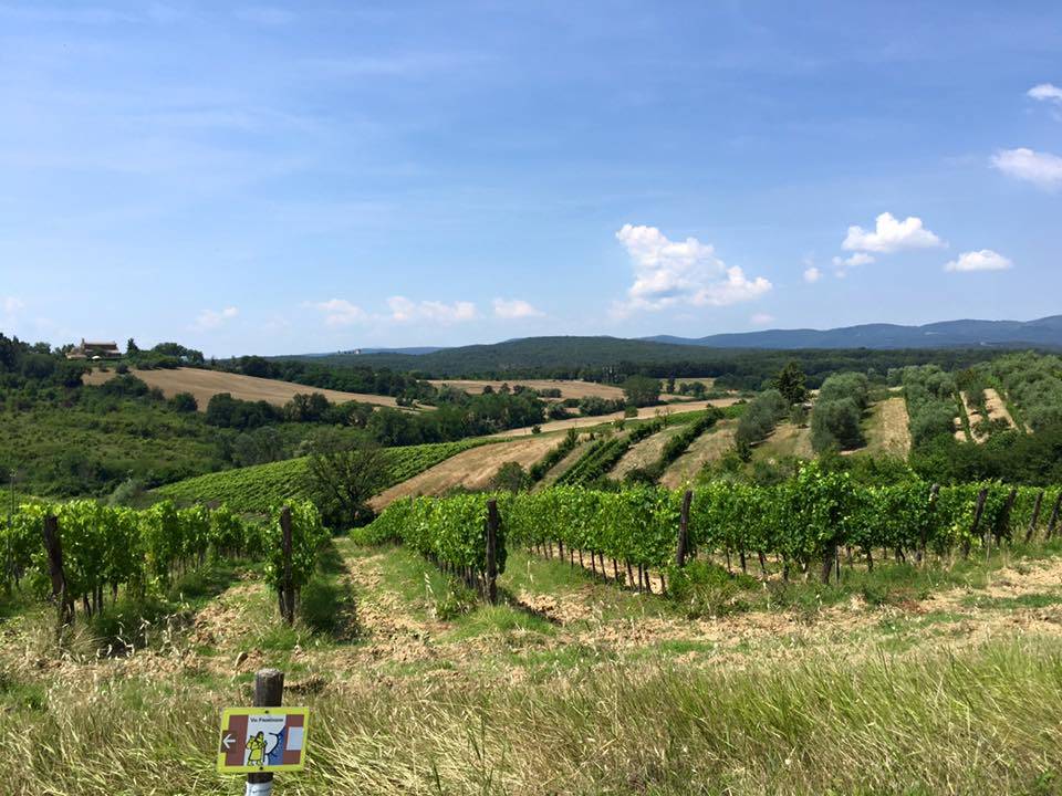 via francigena