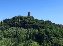 Via Francigena settimana tappa: da Altopascio a San Miniato