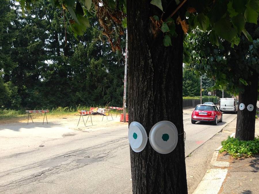 La protesta per gli alberi da abbattere a San Macario