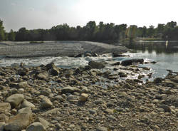 ticino secca 