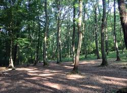 Via Francigena, 17esima tappa: da Bolsena - Montefiascone