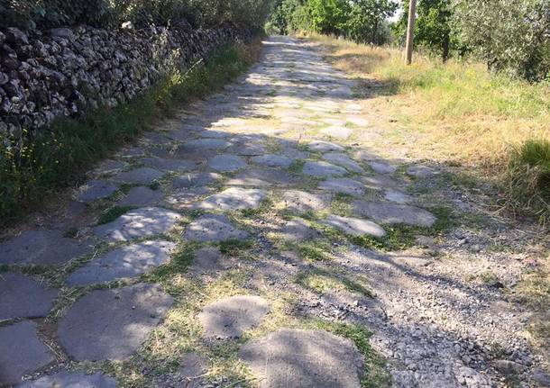 Via Francigena, 17esima tappa: da Bolsena – Montefiascone