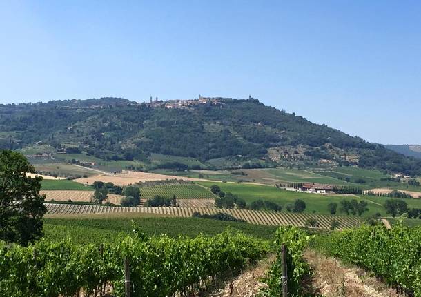 Via Francigena, tredicesima tappa: da Ponte d’Arbia a San Quirico d’Orcia