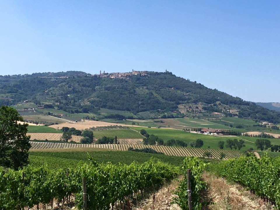 Via Francigena, la tredicesima tappa: da Ponte d'Arbia a San Quirico d'Orcia