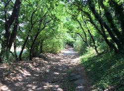 via francigena montefiascone viterbo